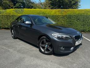 2015 (65) BMW 2 Series at Eastwood Motors Lisburn