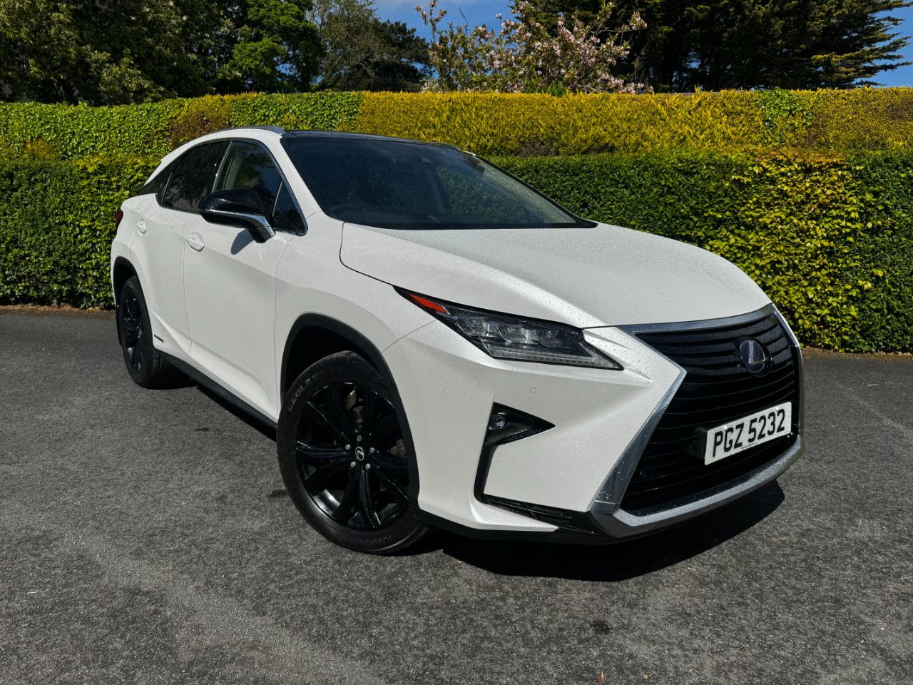 2018 Lexus RX