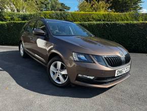 ŠKODA OCTAVIA at Eastwood Motors Lisburn